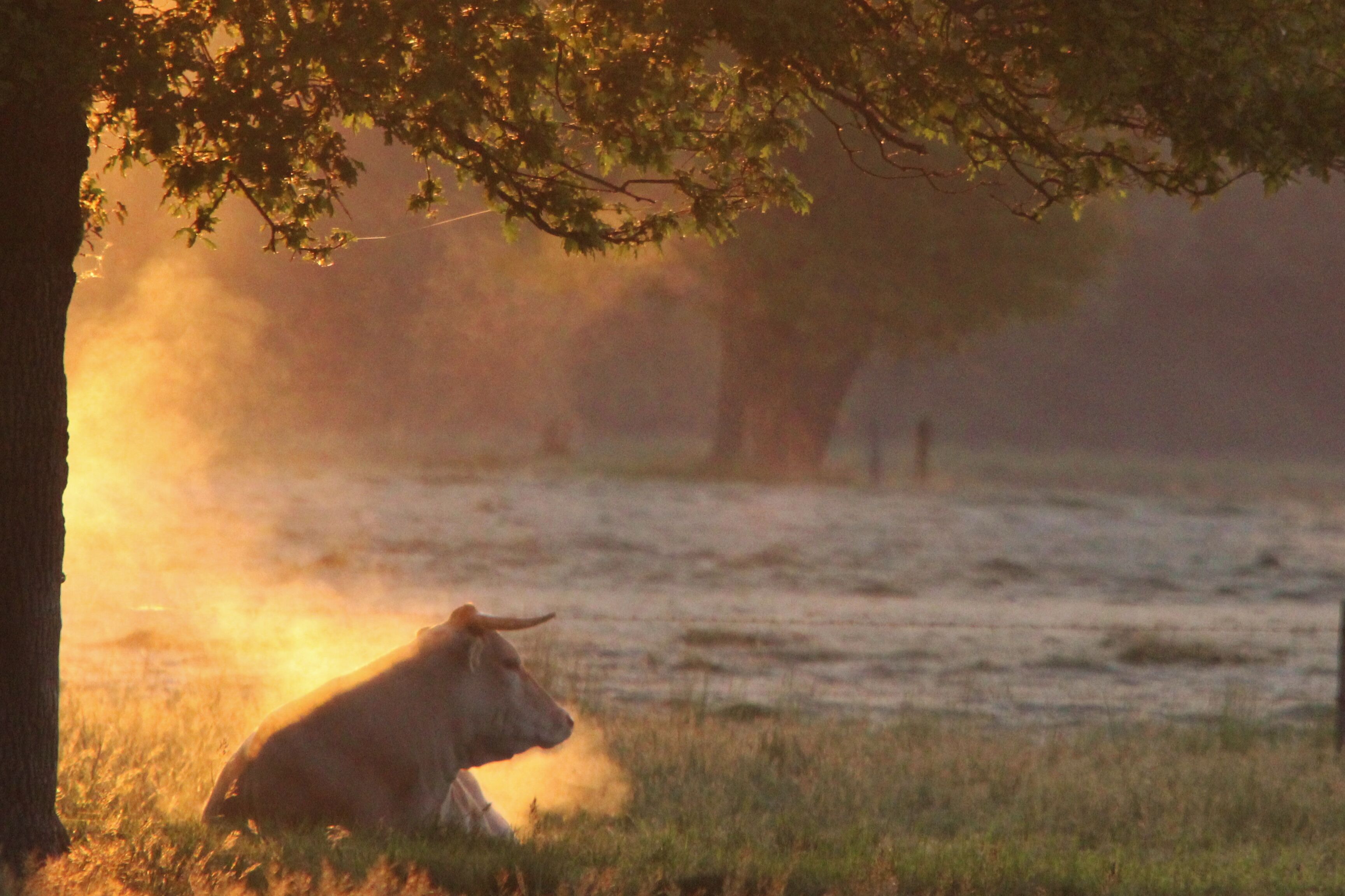 Foto gemaakt door Karin Klein - Winterswijk