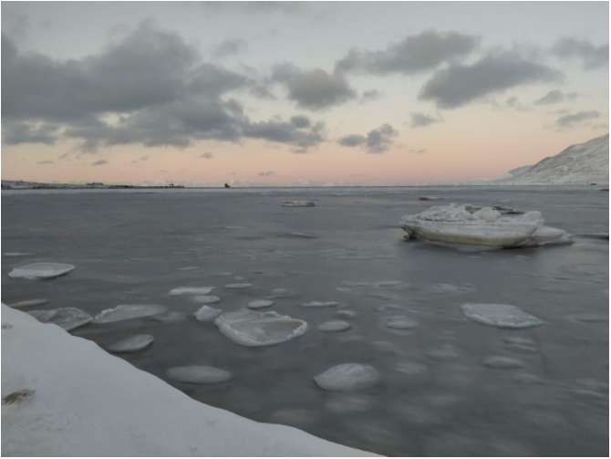 Het fjord groeit steeds verder dicht