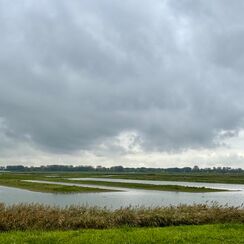 Weerbericht Nederland