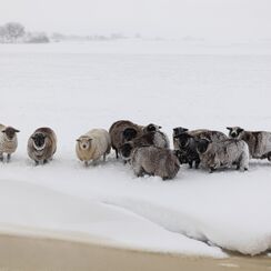 Weerbericht Nederland