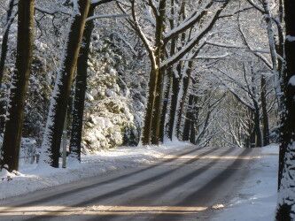 Foto gemaakt door Reinout van den Born - Nijmegen - Foto, genomen tijdens de Witte Kerst van 2010, in de buurt van Nijmegen.