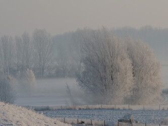 Foto gemaakt door Reinout van den Born - Nijmegen - De koude ochtend van 4 februari 2012 in de Nijmeegse Ooijpolder.