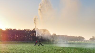 Foto gemaakt door Jos Hebben