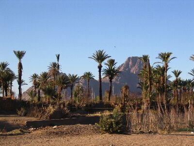 Foto gemaakt door Wikipedia - Een oase met bomen in de Sahara. 