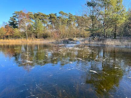 Foto gemaakt door R. Groenen - Luyksgestel - Woensdagochtend net nog even schaatsen op 't ven