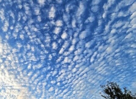 Foto gemaakt door J. Klos - Mooie altocumuluswolken op ongeveer 5 kilometer hoogte