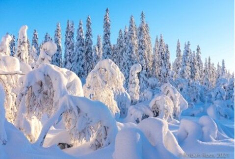 Toenemende sneeuwkansen in delen van Europa 