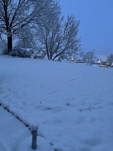 Foto gemaakt door Martin - Vaals - In de omgeving van Vaals lag vanochtend al flink wat sneeuw.