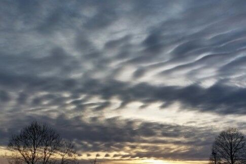 Undulatus heet de golfvormige bewolking