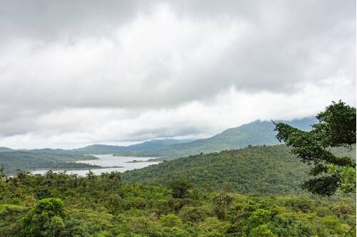Foto gemaakt door EPA / ANP - Panama - Tropische bossen verlagen de temperatuur op aarde met een graad. En ze leveren extra regenbuien op. Reden genoeg om ze beter te beschermen.