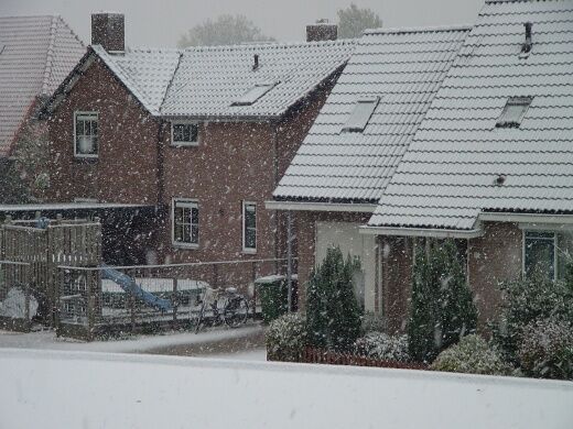 Foto gemaakt door Tom van de Spek - Bennekom - Ook op de Veluwe in Bennekom viel een dun laagje sneeuw