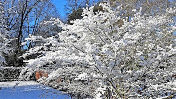 Foto gemaakt door MP - Sneeuw en zon, de ideale combi voor wintersportweer