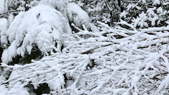 Zelfs de eerste sneeuw van het seizoen is niet helemaal uit te sluiten straks