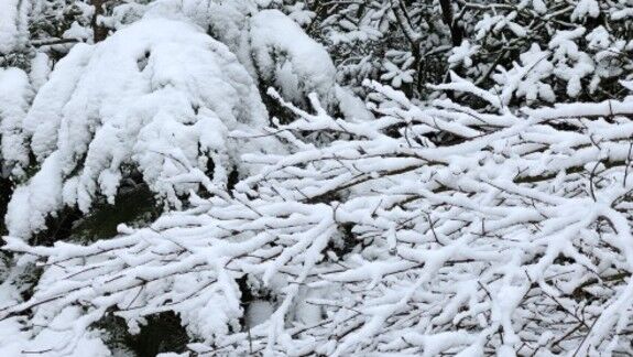 Foto gemaakt door MP - Haarlem - Op 7 november 1980 viel een dik pak sneeuw in Nederland