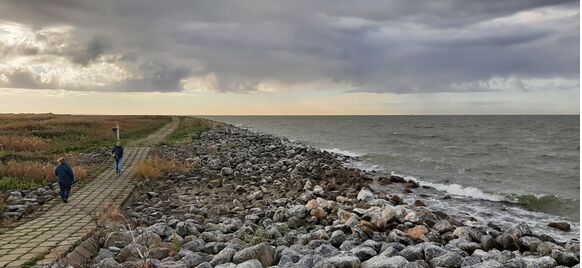 Foto gemaakt door Grieta Spannenburg - Marker Wadden - Een washover. Dit zijn laagtes aan de westkant van het eiland. Hier kan water vanuit het Markermeer naar binnenstromen en op zijn weg door de kreken en het riet schoner wassen.