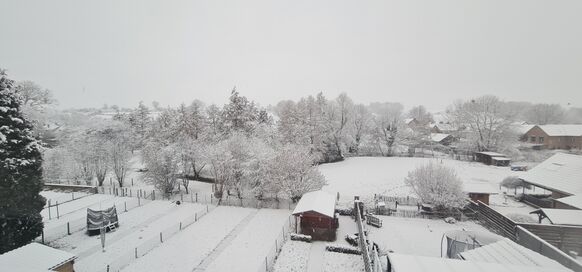 Foto gemaakt door Alex Rijbroek - Wittem - In Wittem is het winterse plaatje compleet. 