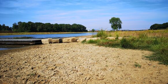 Foto gemaakt door Rob Beckers  - Venray - Afgelopen zomer stonden de rivieren extreem laag, net als in 2018.