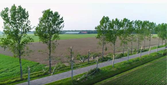 Iets verderop veroorzaakte een andere tornado een schadespoor van circa 40 km. Deze bomen in Kraggenburg knapten als luciferhoutjes af, even later kwam een camping in Vollenhove aan de beurt. Bron: jdverolme (Youtube).