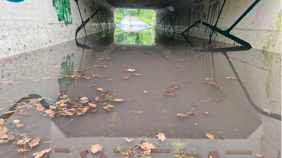 Foto gemaakt door Geert Molema - Delfzijl - In Noordoost-Groningen was lokaal sprake van wateroverlast nadat in korte tijd tientallen millimeters aan regen viel.