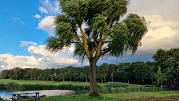 Foto gemaakt door Dilia van Zon - Schoonhoven - Ook in de avond stond er nog veel wind