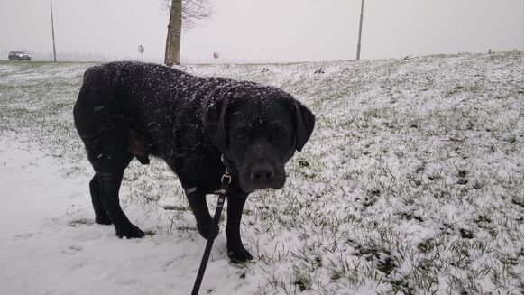 Foto gemaakt door Kirsten de Nooijer - Vlissingen