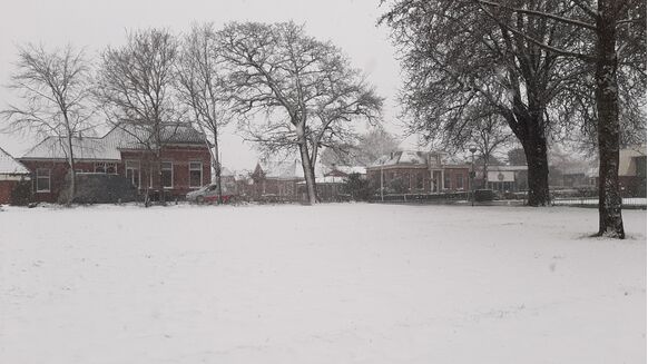 Foto gemaakt door Jannes Wiersema - Roodeschool - Zo'n 5 centimeter sneeuw op het gras.