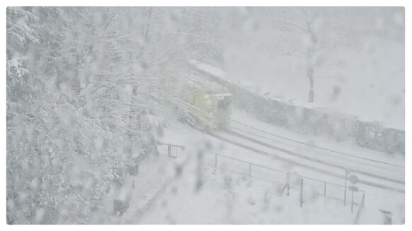 Foto gemaakt door Carlos Sour - Vaalserberg - "Wat een Arctische uitbraak! 2021 zit vol verrassingen! Felle sneeuw en inmiddels 15 cm op de Vaalserberg".