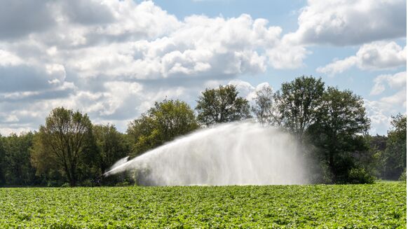 Foto gemaakt door Jos Hebben - Zandbodems droger sneller uit dan andere bodems. De droogte is momenteel in het zuidoosten het grootst en zeker op de zandgronden moet dan ook alweer gesproeid worden.