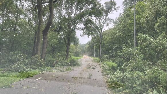 Foto gemaakt door Jeroen van Rossum