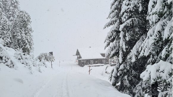 Foto gemaakt door Hans & Odette ter Braak - Kleinwalsertal - Deze foto werd gisteren gemaakt, toen het nog volop sneeuwde. September of kerst? 