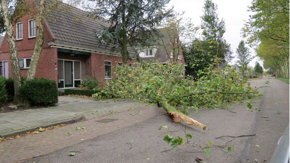 Foto gemaakt door Jannes Wiersema - Roodeschool - Afgebroken takken in Roodeschool.