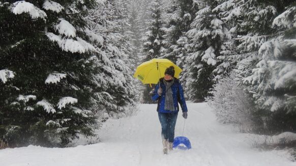 Foto gemaakt door Hans ter Braak - Ook in Vorarlberg valt er sneeuw, maar daar komen de totale hoeveelheden met 'slechts' enkele decimeters veel lager uit.