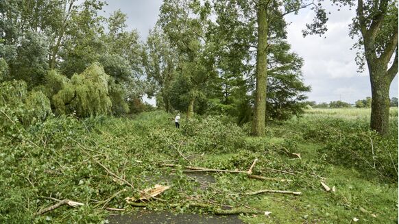 Foto gemaakt door Kees Jak - Westzaan - Nog een foto uit de buurt van Westzaan.