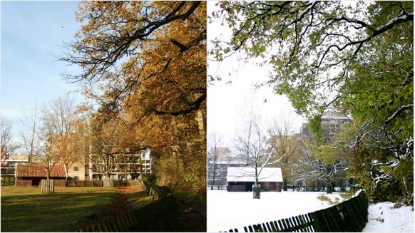 Foto gemaakt door Willy Bonnink - Winterswijk - Zoek de verschillen! De herfst van 2005 verliep een halve graad warmer dan de huidige en dat is goed te zien aan de groene bladeren. In Winterswijk viel 30 cm en na Kerst lagen nog overal hopen sneeuw.
