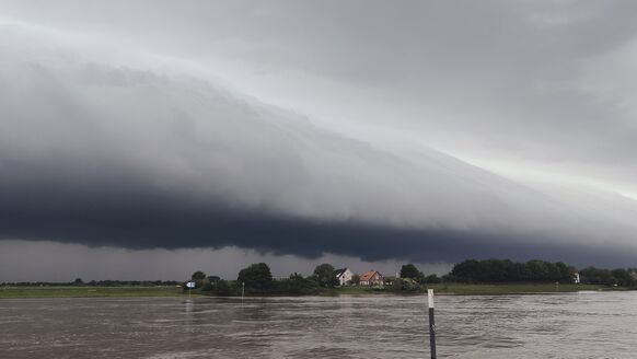 Foto gemaakt door Ton de Brabander - Renkum