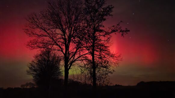 Foto gemaakt door Bertha Krol - Balloo