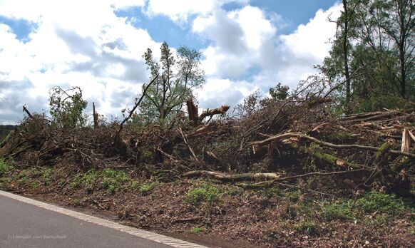 De eerste tornado begon bij de Overasseltse Vennen. Bron: Wouter van Bernebeek.