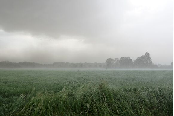 Foto gemaakt door Ben Saanen - Budel