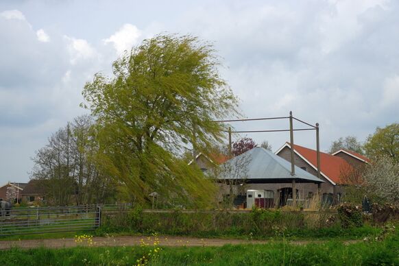 Foto gemaakt door Joost Mooij - Alphen aan den Rijn - Het is vaak aan de koude kant deze lente. Zeker met de wind erbij voelt het soms erg kil aan.