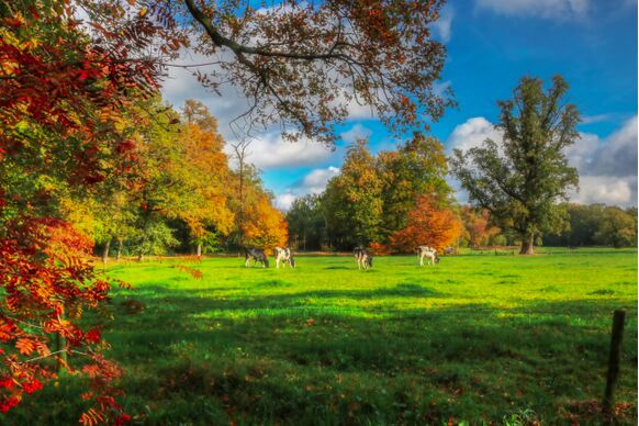 Foto gemaakt door Nicky Wagenvoort - Delden - Ook in de maand oktober kon nog volop worden genoten van laat nazomerweer, met op 29 oktober nog bijna 25 graden in het zuiden.