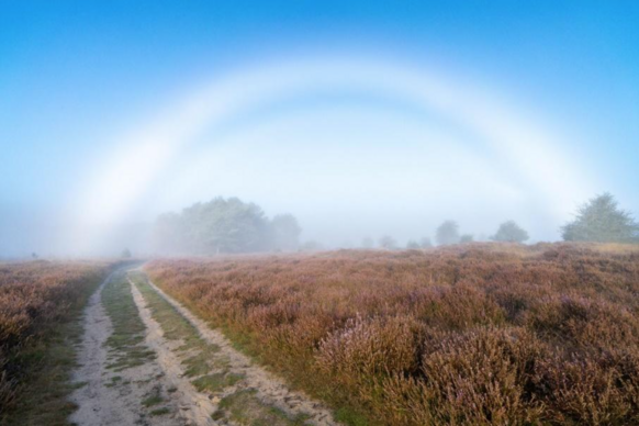 Foto gemaakt door Friso Schinkel - Ede