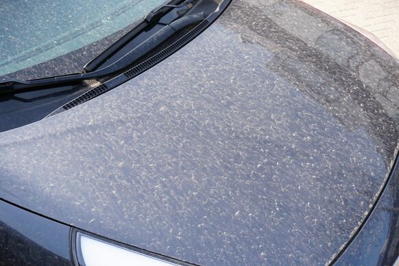 Foto gemaakt door Joost Mooij - Saharastof lag vanmorgen lokaal al op auto's na wat lichte regenval.