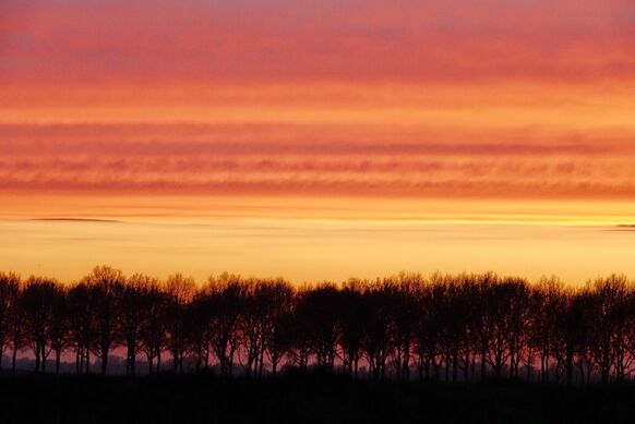 Foto gemaakt door Fas Vermeule - Leerdam - Leerdam. 