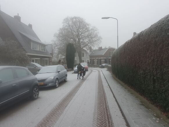 Foto gemaakt door Reinout van den Born. - Velp - Uitsneeuwende mist in Velp.