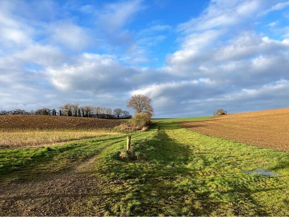 Foto gemaakt door Pantera Huntjens - Simpelveld - Mooi en zacht weer in Simpelveld in Limburg. 