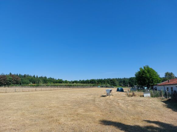 Foto gemaakt door Karin van der Graaff - Elst - Op sommige plekken lijk je wel in Zuid-Frankrijk te zijn met verdord gras, volop zon en hoge temperaturen. 