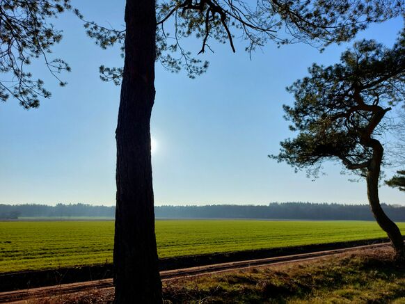 Foto gemaakt door Jelmer van der Graaff - Ede - In februari was het soms grijs met nevel en mist, maar er waren ook een aantal stralend zonnige dagen.