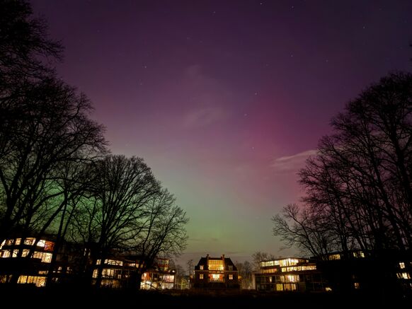 Foto gemaakt door Nelleke Theijssen - Leiden