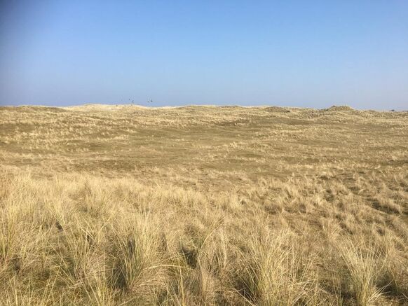 Foto gemaakt door Pieter Bliek - Vlieland - De duinpan op het westelijke deel van Vlieland.