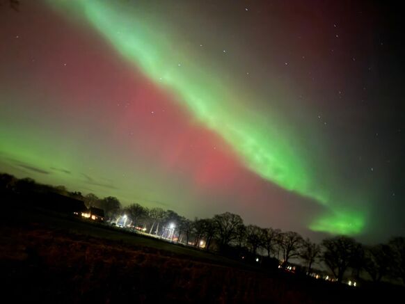 Foto gemaakt door Bert Winkels - Bruinehaar